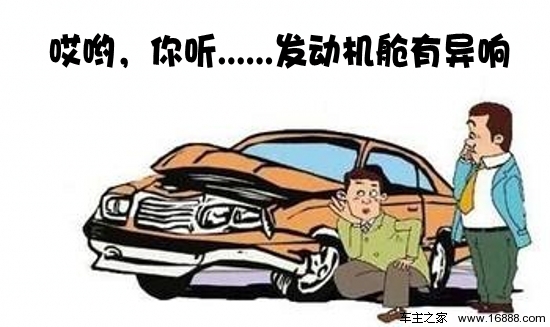 למה ריצוד הסרק כל כך רציני? אגיד לך למה